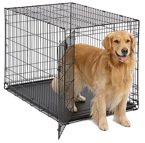 10 Best Portable Dog Crates