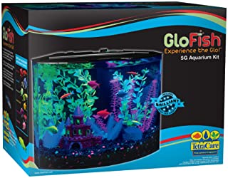 GloFish Crescent