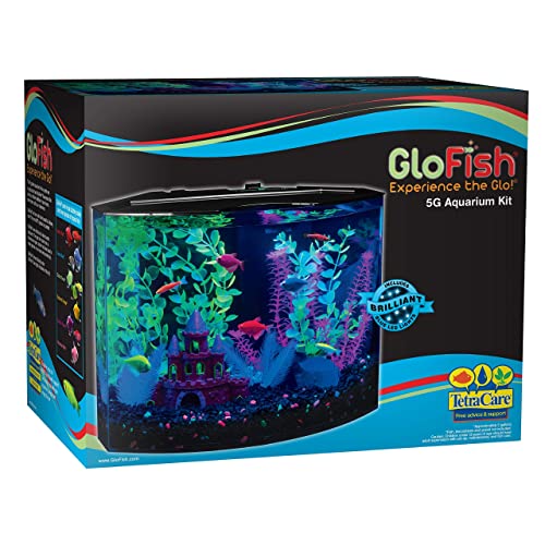 10 Best Fish Tanks