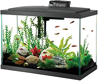 Aqueon Aquarium Kit