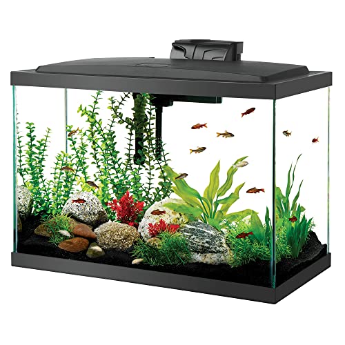 Aqueon Aquarium Kit