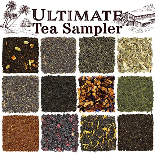 Solstice Loose Leaf Tea Ultimate Sampler Feat. 12 Teas; Sencha & Gunpowder Green Tea