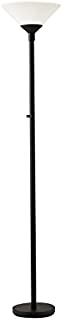 Adesso Home 7500-01 Transitional Two Light Floor Lamp