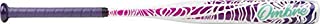 Rawlings 2020 Ombre Fastpitch Softball Bat, 30 inch (-11), Pink, Purple, Teal, White (FPZO11-30/19)