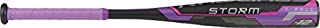 Rawlings 2019 Storm Youth TBall Softball Bat (-12)