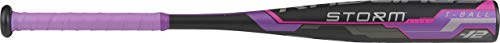 Rawlings 2019 Storm Youth TBall Softball Bat (-12)