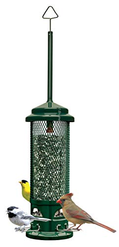 Squirrel Buster Legacy Squirrel-proof Bird Feeder w/4 Metal Perches, 2.6-pound Seed Capacity