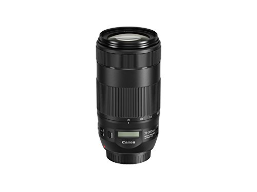 Canon EF 70-300mm f/4-5.6 is II USM Lens