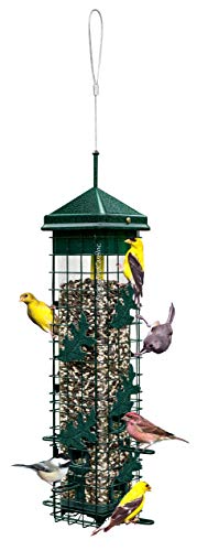 Squirrel Solution200 Squirrel-proof Bird Feeder w/6 Feeding Ports, 3.4-pound Seed Capacity, Free Seed Funnel