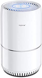 hOmeLabs Air Purifier for Home, Bedroom or Office - True HEPA H13 Filter to Remove Allergens Such as Mold, Dust, Dander - Pet Smell and Smoke Odor Eliminator - Night Light and Child Lock Function