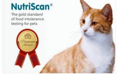 at-Home Pet Food Intolerance and Sensitivity Test for Cats