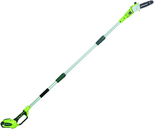 Greenworks 8.5' 40V Cordless Pole Saw, 2.0 AH Battery Included 20672