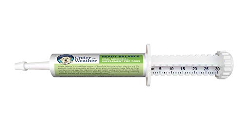 Under the Weather Pets | Ready Balance for Dogs 1.05oz | Oral Probiotic Gel, Supports Normal Digestive Balance & Upset Digestion | Beneficial Bacteria, Live Probiotics, Vitamins & Prebiotic Inulin