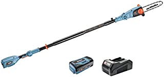 SENIX A01400145 CSPX5-M 10 Inch 58V Cordless Pole Saw to Reach Branches up to 14 Feet Above, Blue