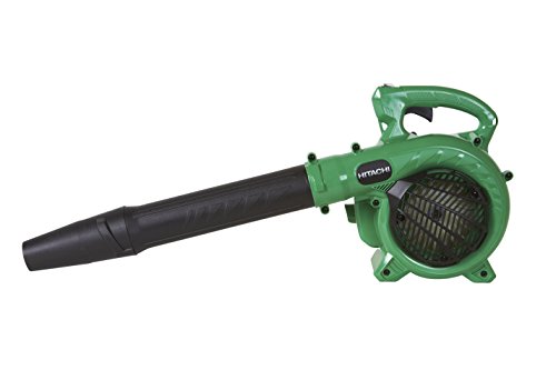 Hitachi RB24EAP Gas Powered Leaf Blower