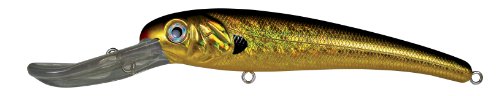 10 Best Artificial Baits For Grouper