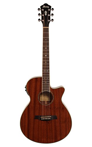 Ibanez AEG12IINT Acoustic-Electric Guitar, Natural Finish