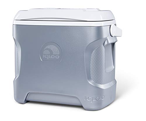 9 Best Electric Cooler Box