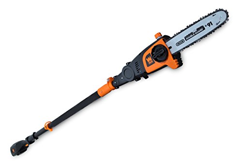 WEN 40421 40V Max Lithium Ion Cordless Pole Saw, 10