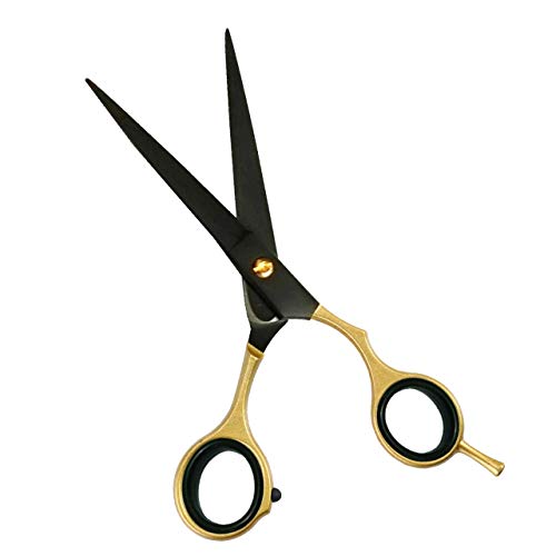 Apical Professional Razor Edge Series - Barber Hair Cutting Scissors/Shears - 6.5 Inches - Japanese Stainless Steel Hair Scissors (Gold Straight Toe)