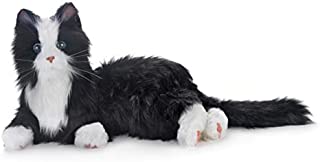 New Joy for All Robotic Reclining Black & White Tuxedo Cat - Stuffed Animal Therapy for People with Memory Loss from Aging and Caregivers