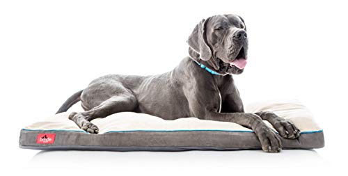 10 Best Dog Beds For Great Danes