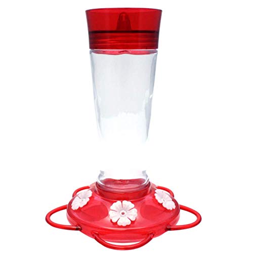 10 Best Hummingbird Feeder Glass