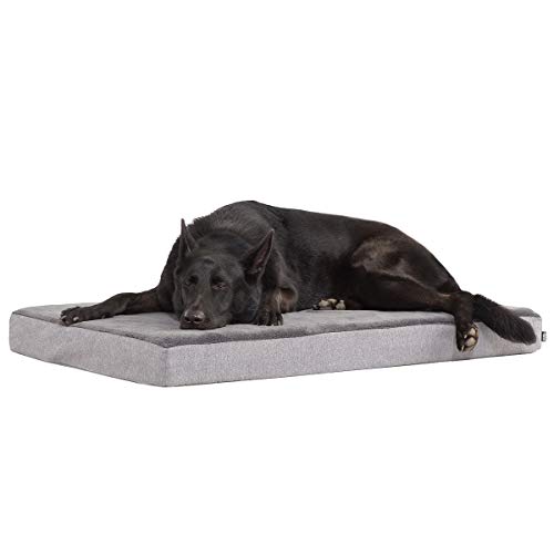 Barkbox Memory Foam Platform Dog Bed | Plush Mattress for Orthopedic Joint Relief (X-Large, Grey)