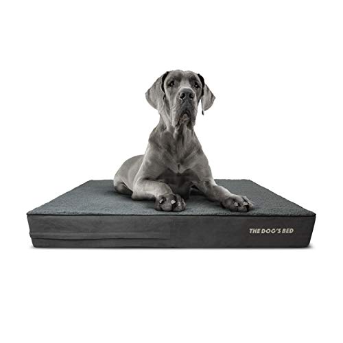 The Dogs Bed Orthopedic Dog Bed