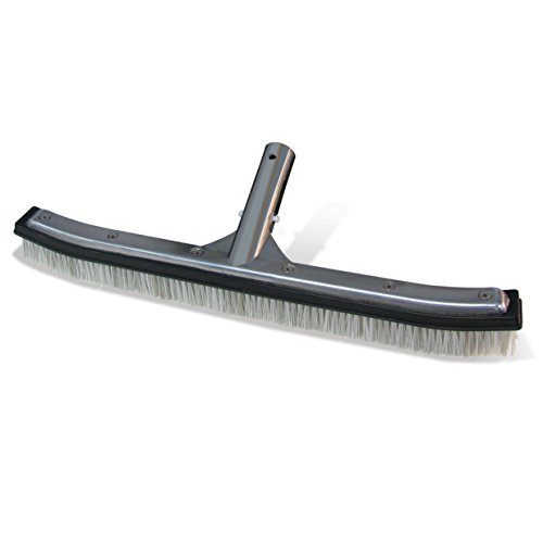 10 Best Pool Brush For Gunite