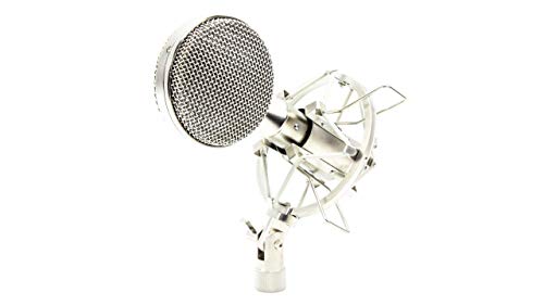 Golden Age Project R2 MKII Ribbon Microphone