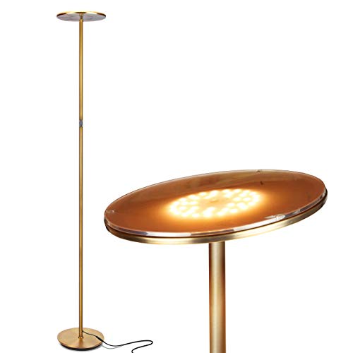 Brightech Sky Flux - The Very Bright LED Torchiere Floor Lamp