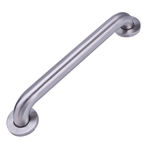 AmazonBasics Bathroom Handicap Safety Grab Bar