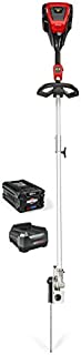 Snapper XD 82V MAX Cordless Electric Pole Saw Kit