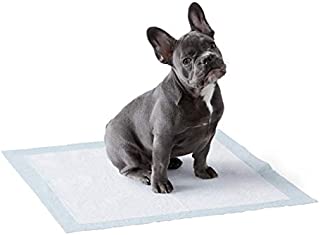 Amazon Basics Dog and Puppy Leak-proof 5-Layer Potty Training Pads with Quick-dry Surface, Regular (22 x 22 Inches) - Pack of 150