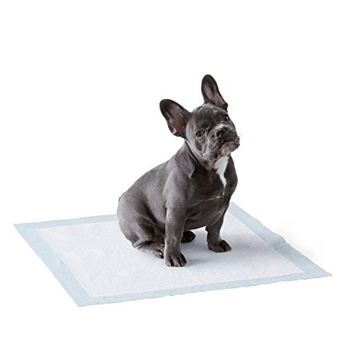 Amazon Basics Dog and Puppy Leak-proof 5-Layer Potty Training Pads with Quick-dry Surface, Regular (22 x 22 Inches) - Pack of 150