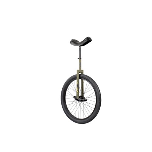 Sun Unicycle Flat Top 24 inch 2014 Green & Black