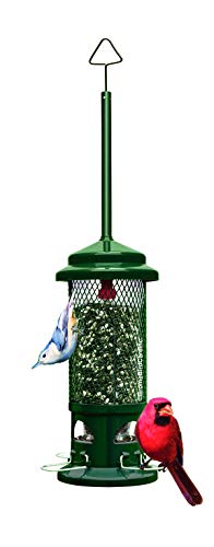 Squirrel Buster Standard Squirrel-proof Bird Feeder w/4 Metal Perches, 1.3-pound Seed Capacity