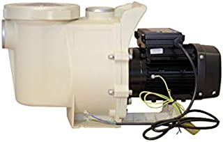 FibroPool FP100 Swimming Pool Pump In Ground (1 Horsepower)