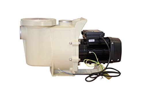 FibroPool FP100 Swimming Pool Pump In Ground (1 Horsepower)