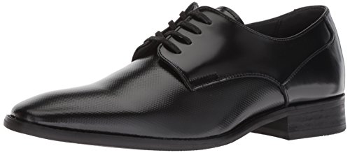 Calvin Klein Men's Ripley Oxford Flat, Black, 9.5 M US