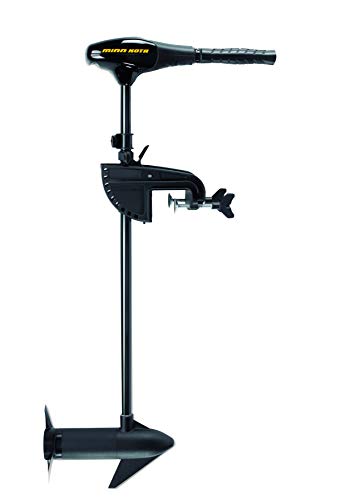 Minn Kota Endura C2 30 Freshwater Transom Mounted Trolling Motor (30