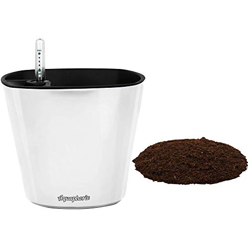 10 Best Soil For Self Watering Planters