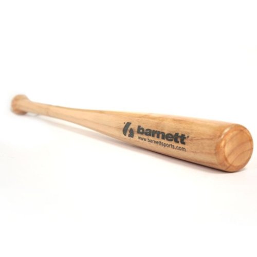 10 Best Baseball Bats For Beginners