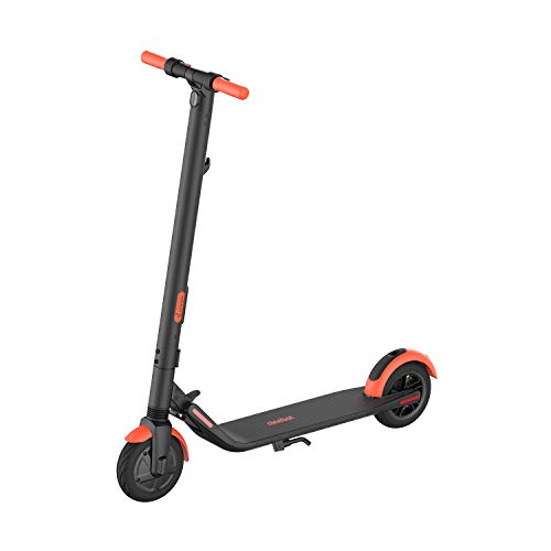 Segway Ninebot ES1L Electric Kick Scooter, Lightweight and Foldable, Upgraded Motor and Battery Pack, 8-inch Inner-Support Hollow Tires, Dark Grey & Orange