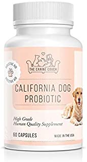 Probiotics for Dogs by California Dog | All-Natural Vitamins for Diarrhea & Constipation Relief + Yeast Infection Treatment | Healthy Immune and Gut Health for Pets