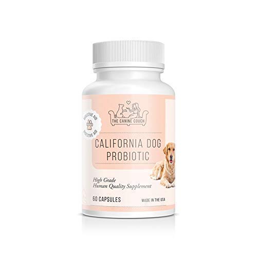 Probiotics for Dogs by California Dog | All-Natural Vitamins for Diarrhea & Constipation Relief + Yeast Infection Treatment | Healthy Immune and Gut Health for Pets