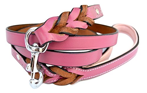 Soft Touch Collars Raspberry Pink Leather Braided Dog Leash, 6 Foot x 3/4 inch, Walking or Training Lead for Large and Medium Size Dogs