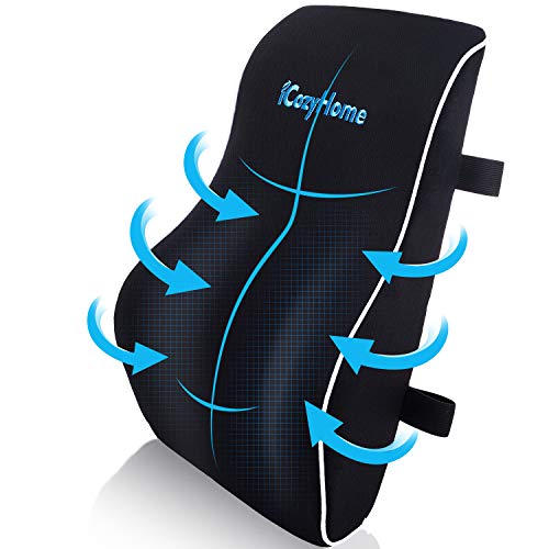 iCozyHome Lumbar Support Pillow for Chair, Lower Back Pillow, Memory Foam Lumbar Pillow for Back Pain, Orthopedic Back Cushion for Computer Chair, Gaming Chair, Office Chair, Car, Mesh Washable Cover