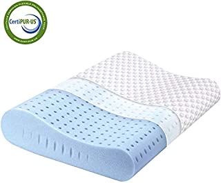 Milemont Memory Foam Pillow